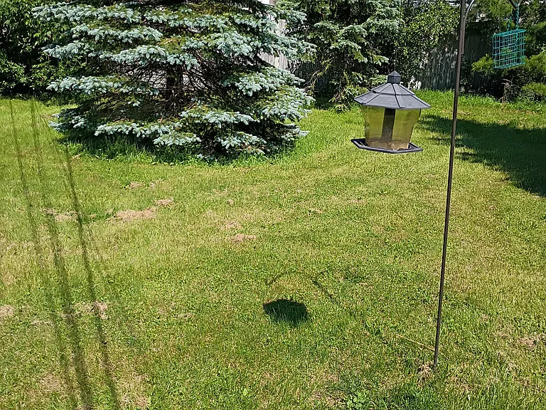 3898 Sharondale Dr #1 — Photo 6