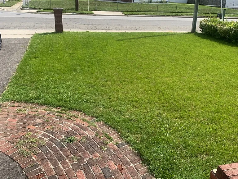 6215 Auth Rd — Photo 2
