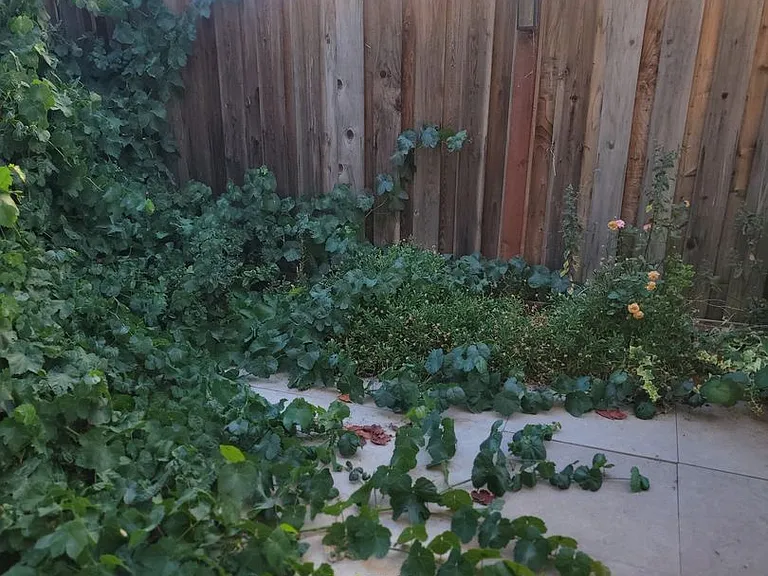 1829 Kelly Pl — Photo 26