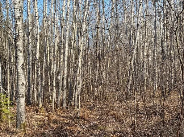 Near Jackson Road, Lake Nebagamon, WI 54849