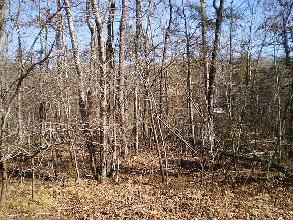 3rd image of Riverbend Dr