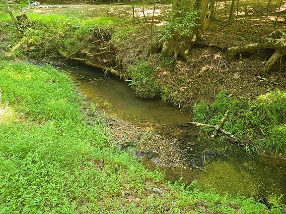 2nd image of 200 Creek Trl