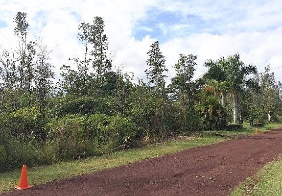 3rd image of Tree Fern Dr Lot 62