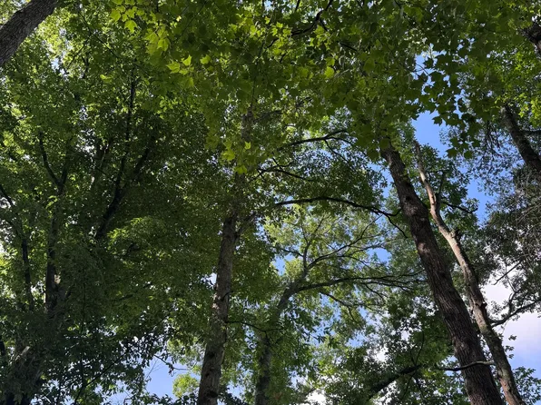 0 Pobiddy Rd, Thomaston, GA 30286