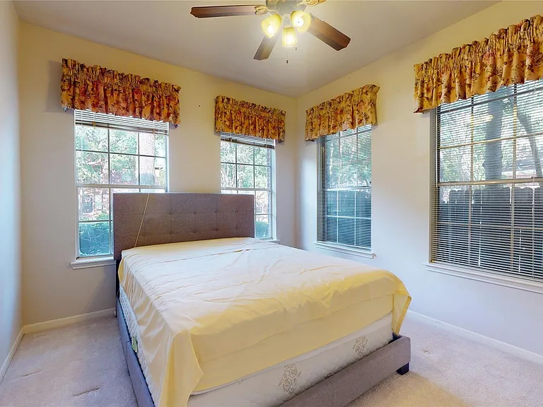 17319 Jackson Pines Dr — Photo 13