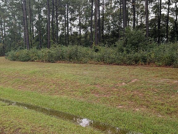 3rd image of 244 Gus Horne Road LOT 15