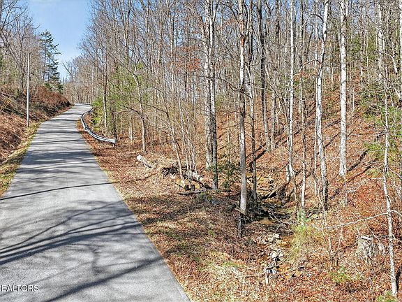 4th image of Dogwood Rd