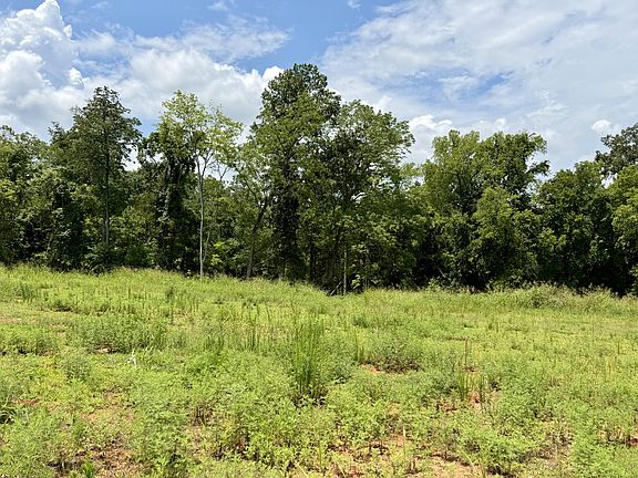 3rd image of 2054 Daniel Johnson Way Lot 108