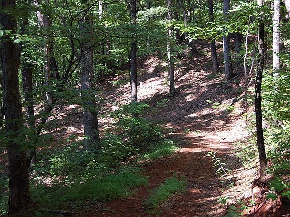 5th image of Lot 485 Peartree Lane