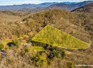 1105 Merrills Cove Rd, Asheville, NC 28803