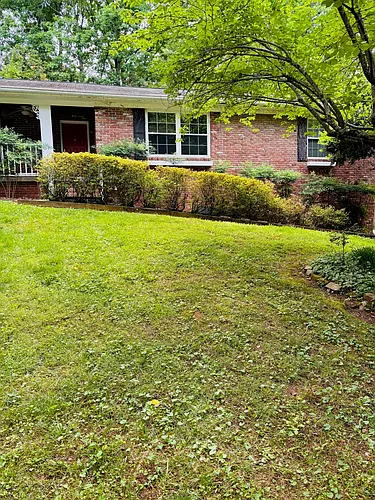 7342 Valley Ln #1 Photo 1
