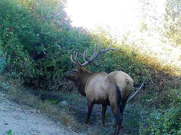 5th image of 3540 Hilt Hungry Rd