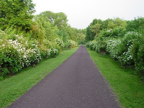 driveway to road
