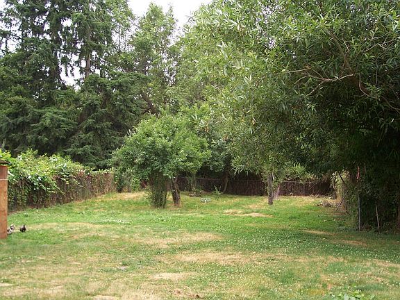 Large, flat lot