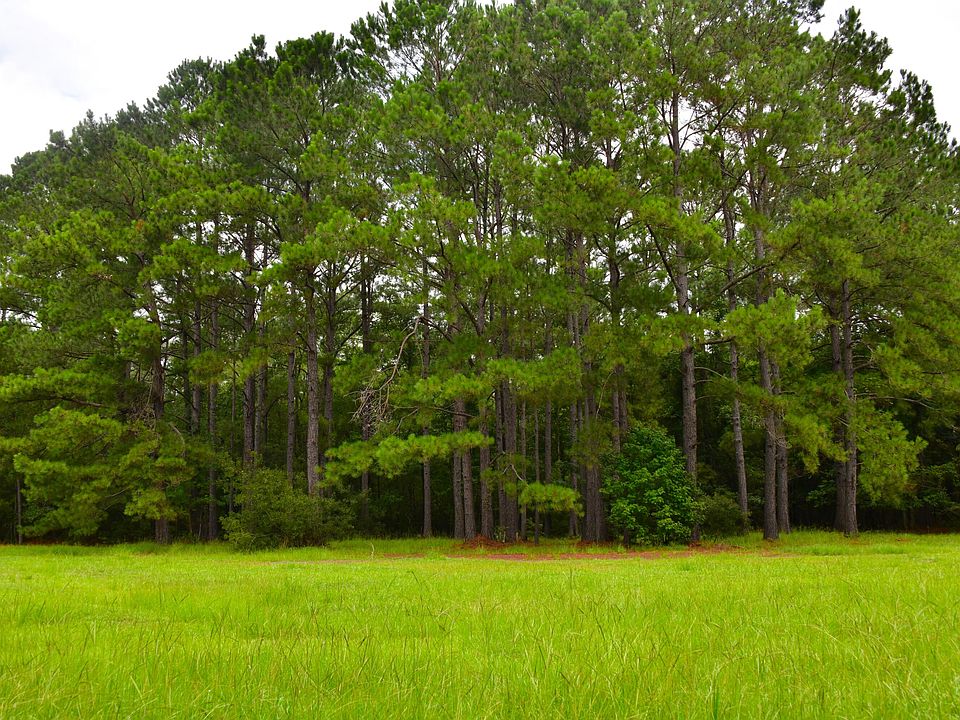 1st image of 0 Palmetto Ave