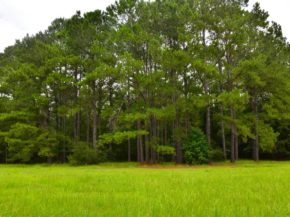 0 Palmetto Ave, Saint Stephen, SC 29479