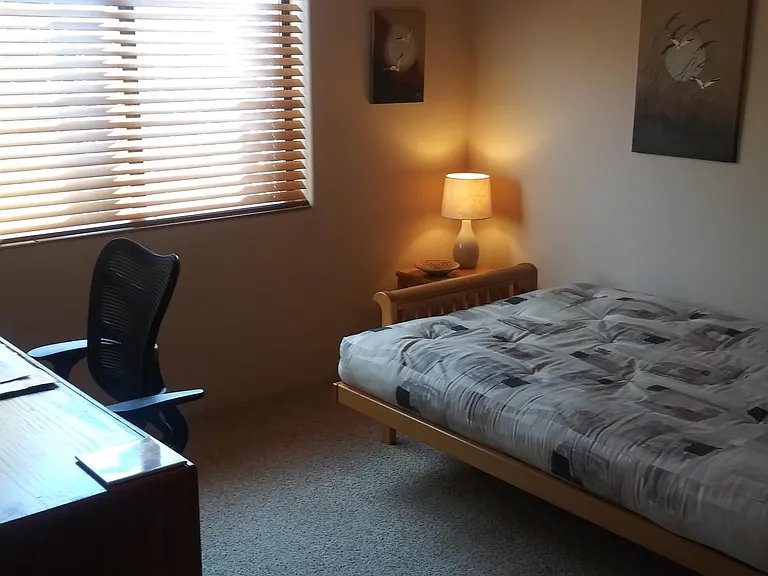 Cochise Dr — Photo 21