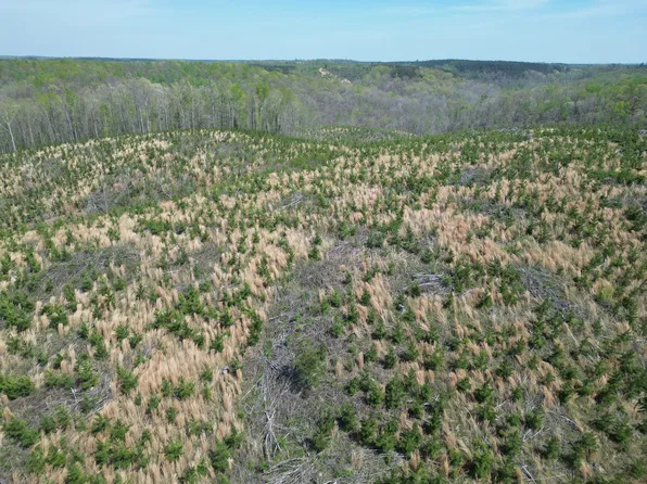 0C Waynesboro Hwy, Waynesboro, TN 38485