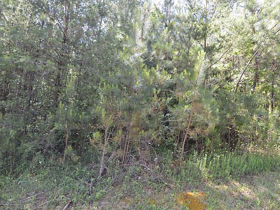 3rd image of 14 Loftis Mountain Way