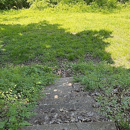 5th image of 203 Wally Ave