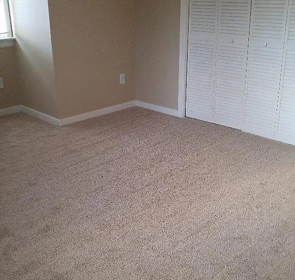 14207 Spotted Coat Ct — Photo 13
