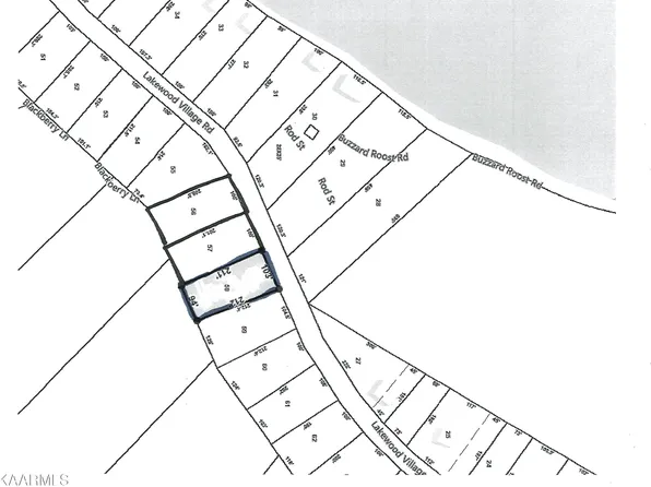 Lakewood Village Rd, Spring City, TN 37381