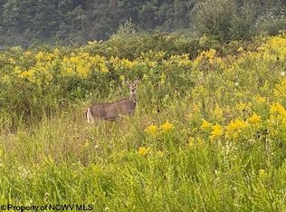 Tbd Green Valley Rd, Bridgeport, WV 26330