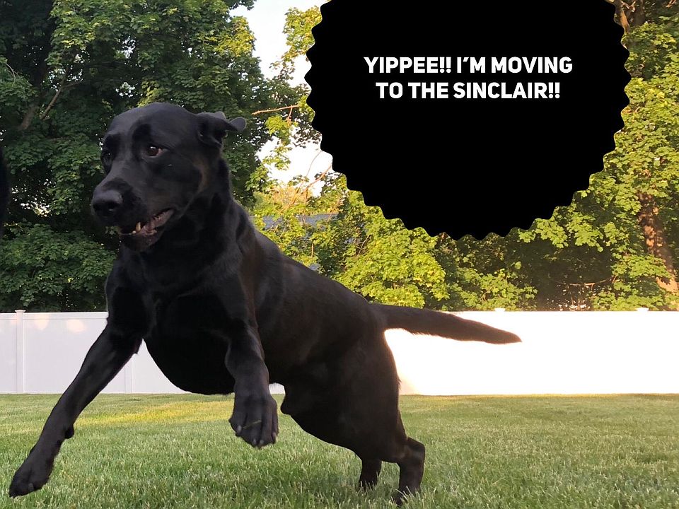 You will be as excited as Luke is when you decide to be our