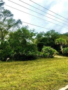 1620 Lightfoot Rd, Wimauma, FL, 33598