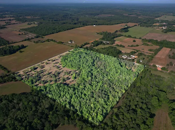 0 County Road 21 N #Na, Prattville, AL 36067