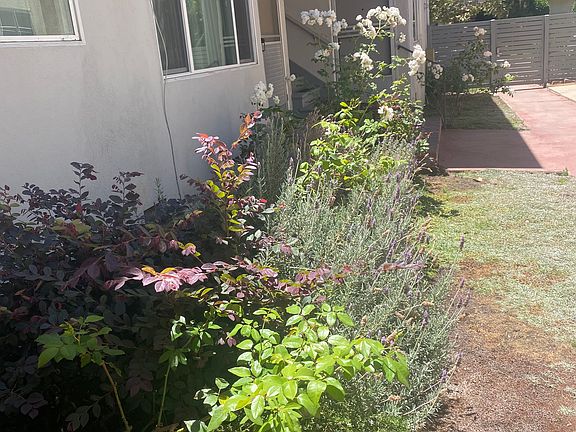 3rd image of 128 S Hayworth Ave