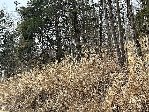 3rd image of Aj Osborne Hwy