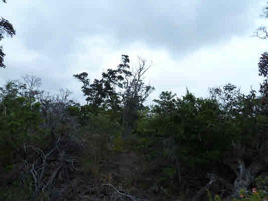 2nd image of Walaka Dr Lot 29