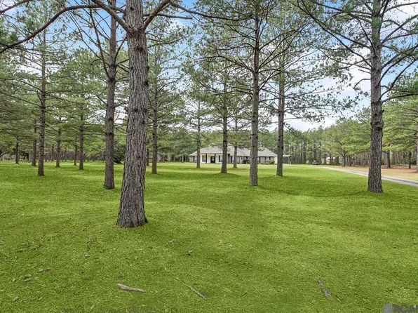 15182 Sterling Smith Rd, Amite, LA 70456