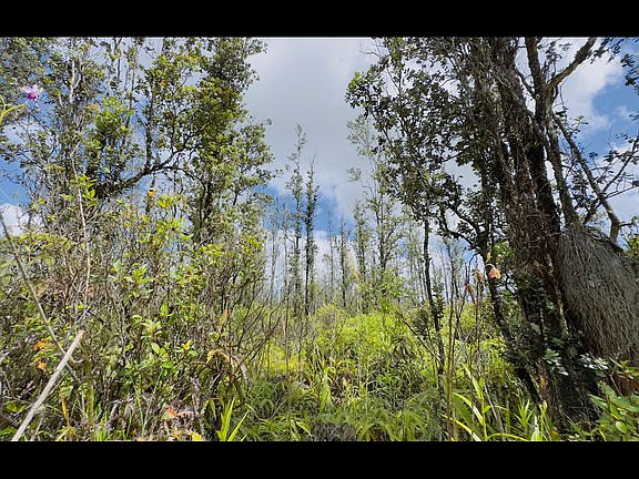 2nd image of Road 8 Moho Lot 5066