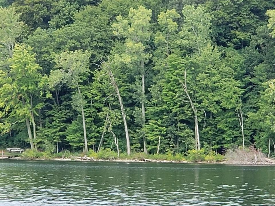 2605 W Selkirk Lake Dr, Shelbyville, MI 49344 MLS 20036789 Zillow