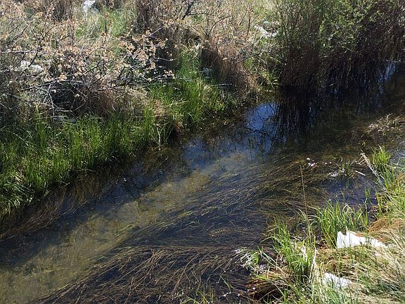 Culver ditch 