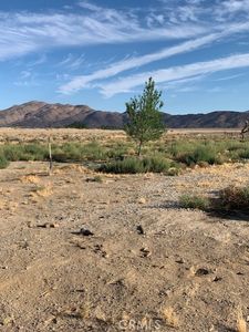 29985 Clark Rd, Lucerne Valley, CA, 92356