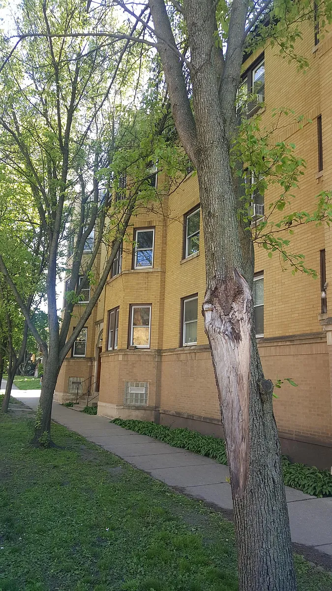 Photo 1 of 7 - 6454 N Hoyne Ave #G - Chicago, IL Primary Photo - 6454 N Hoyne Ave #G