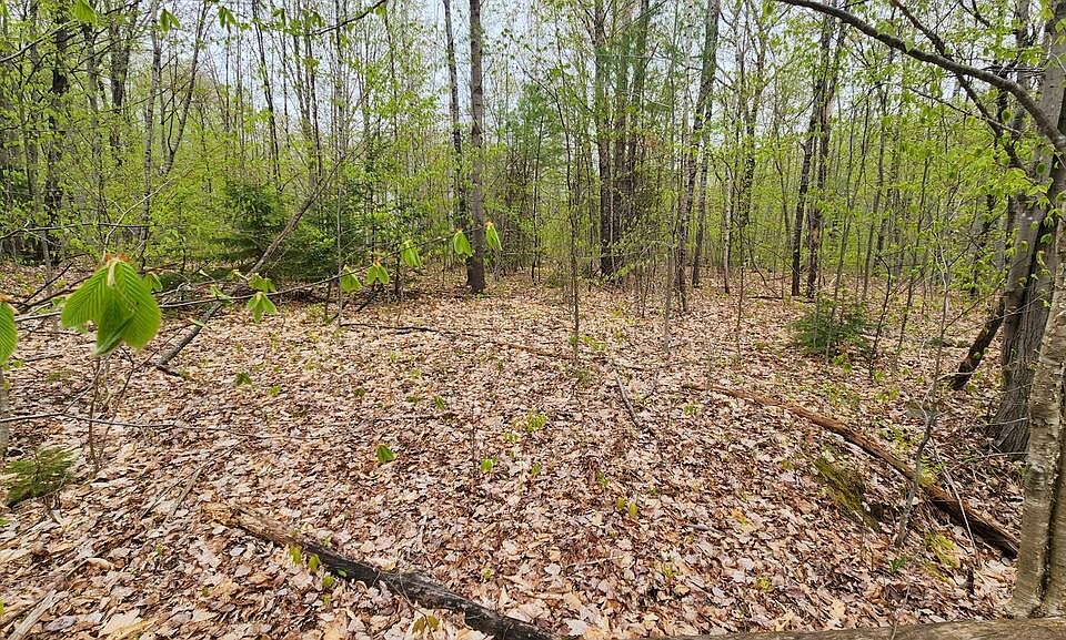 1st image of Lot 019 Olivewood Circle