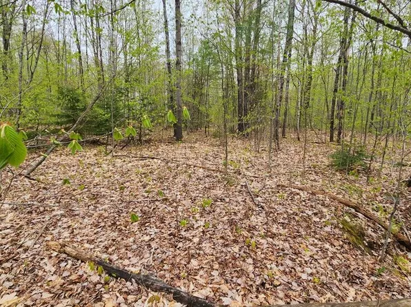 Lot 019 Olivewood Circle, Wilton, ME 04294