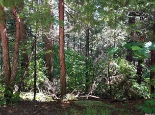 6833 Onyx Trl, Pollock Pines, CA 95726