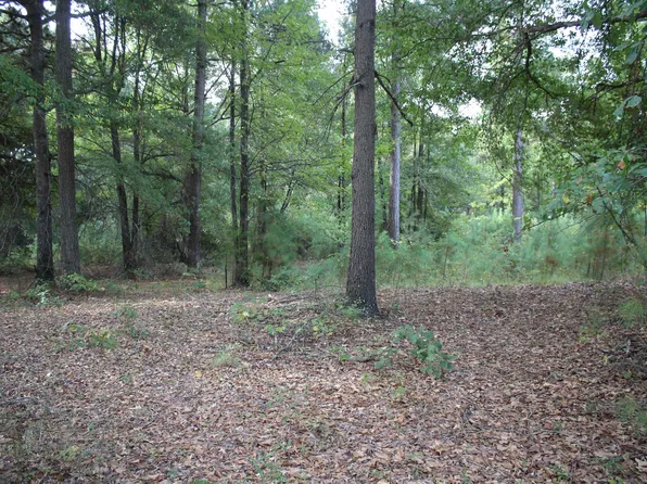 S Bingen Cir, Nashville, AR 71852