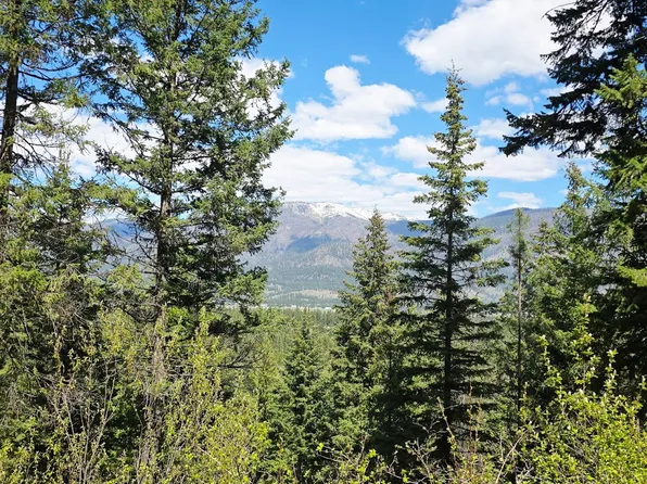 93 Wapiti Point Dr, Thompson Falls, MT 59873