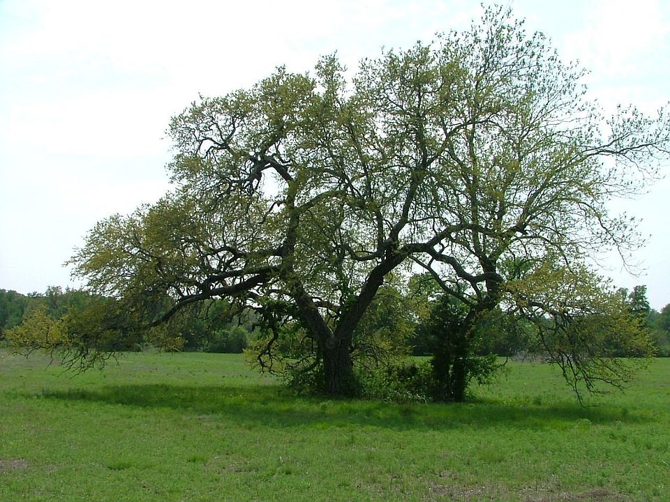 1st image of N Hwy 183