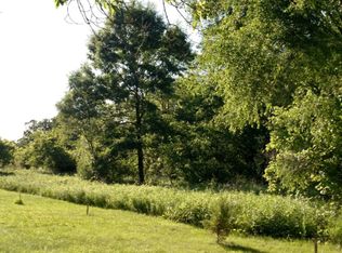 PARCEL Parsonage St, Saranac, MI 48881