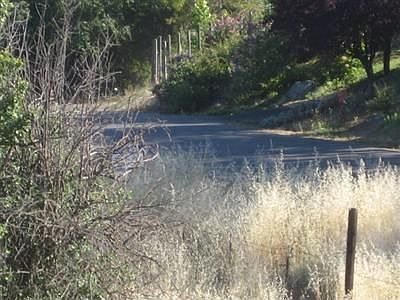 off a shady country lane