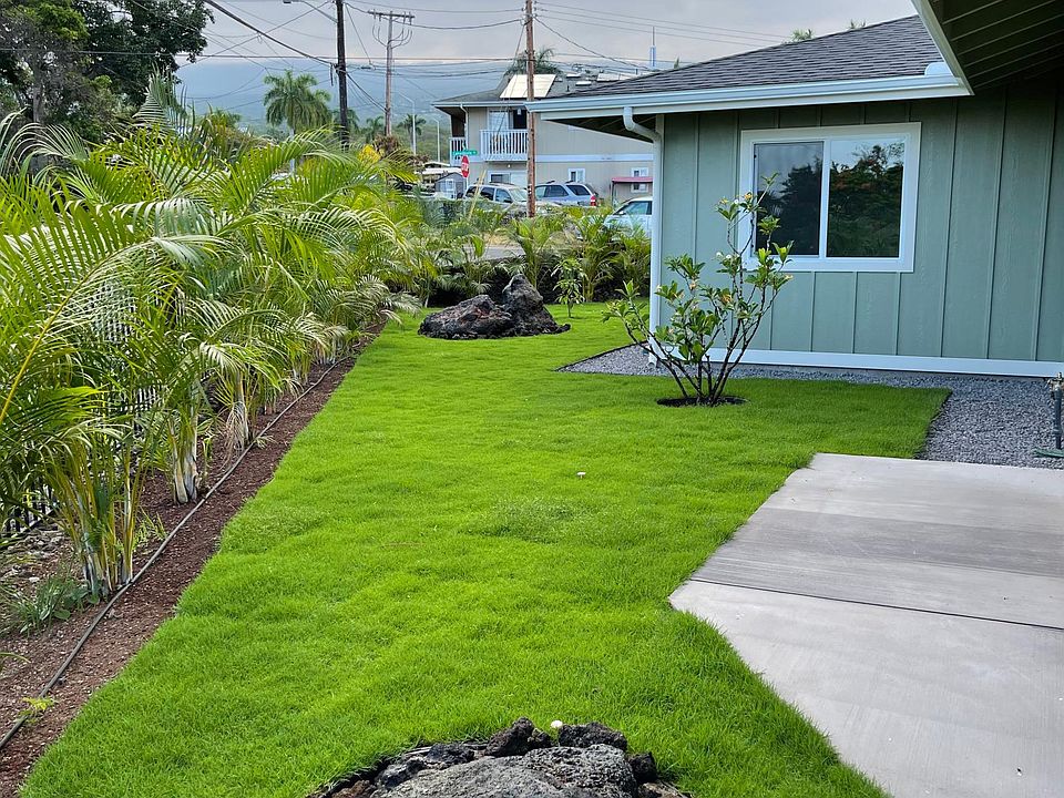 Shared yard space