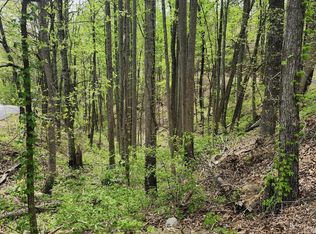 LOT 1 Hatcher Mountain Rd, Sevierville, TN 37862