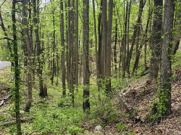 LOT 1 Hatcher Mountain Rd, Sevierville, TN 37862